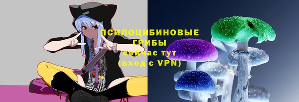 ешки Балахна