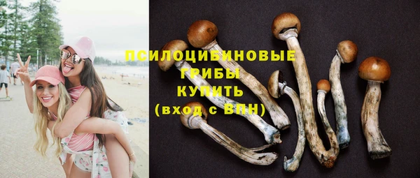 амф Баксан
