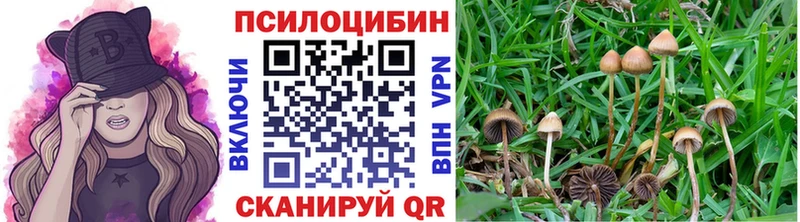 Галлюциногенные грибы мухоморы  Терек 